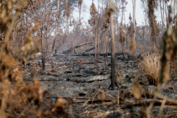 Пожары в тропических лесах Амазонки в Бразилии подскочили в октябре