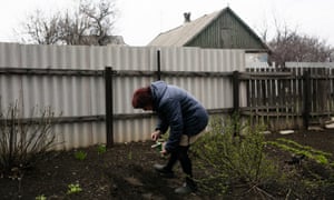  Светлана Деркач ухаживает за своим садом в Марьинке. 