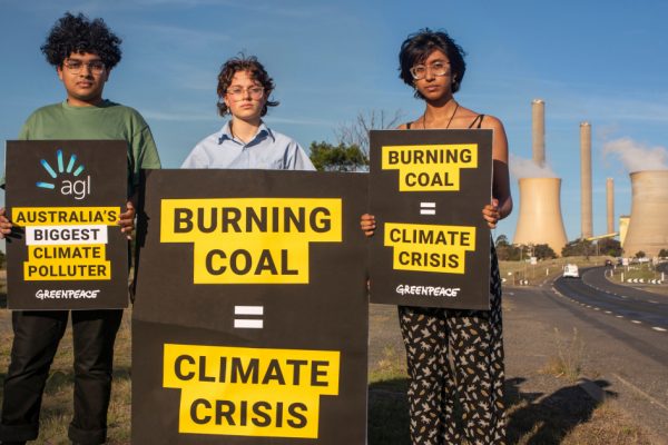 "Крупнейший загрязнитель климата" Австралии подал на Гринпис в суд