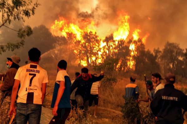 Почему лесные пожары унесли столько жизней в Алжире?