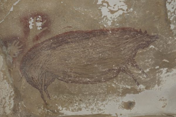 Бородавчатая свинья: самая старая известная в мире наскальная живопись, найденная в Индонезии