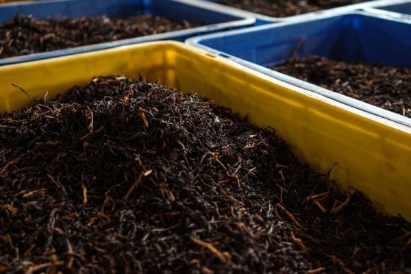Революция в области экологически чистых продуктов питания в Шри-Ланке угрожает ее чайной промышленности